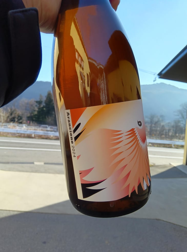 Arancione - Grape Republic Inc. - haruyuki-yano -2024