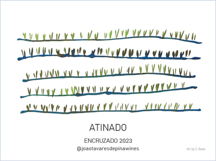 Atinado Encruzado - Quinta da Boavista - Terras de Tavares - joao-tavares-de-pina -2023