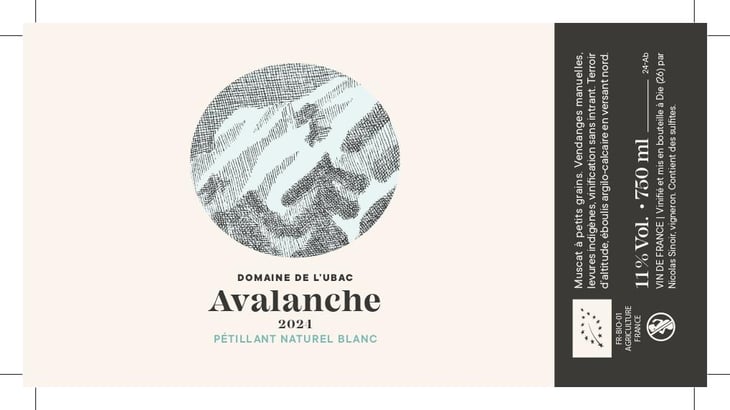 Avalanche - Domaine De L'Ubac - nicolas-sinoir -2025