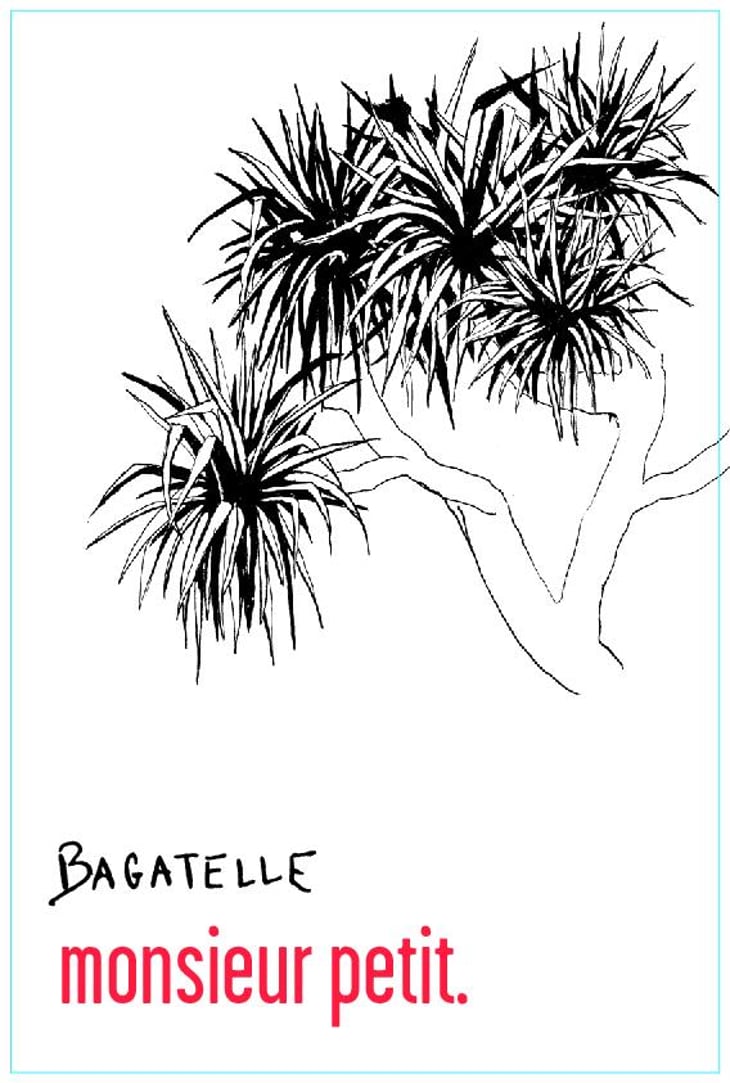 Bagatelle - La Pinarderie (ex Le Petit Domaine) - aurelien-petit 