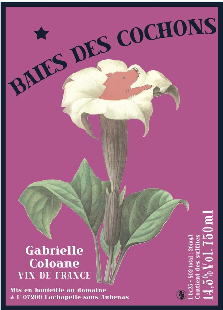 Baies des Cochons - Coloane Gabrielle - coloane-silva-gabrielle 