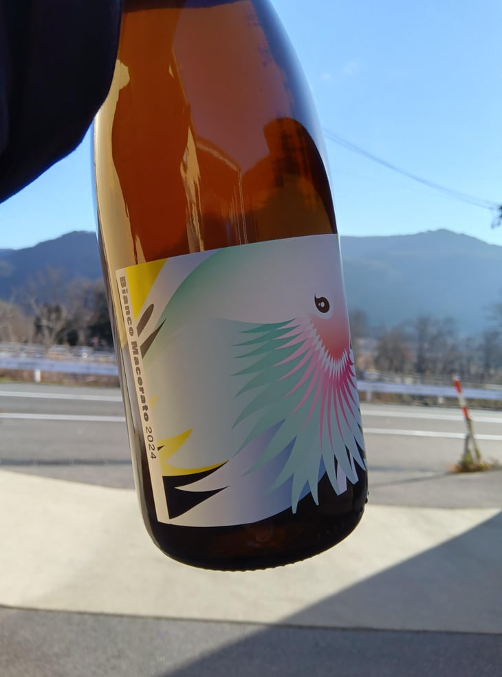 Bianco Macerato - Grape Republic Inc. - haruyuki-yano -2024