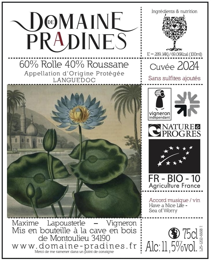 Blanc 2024 - Domaine de Pradines - maxime-lapousterle -2024