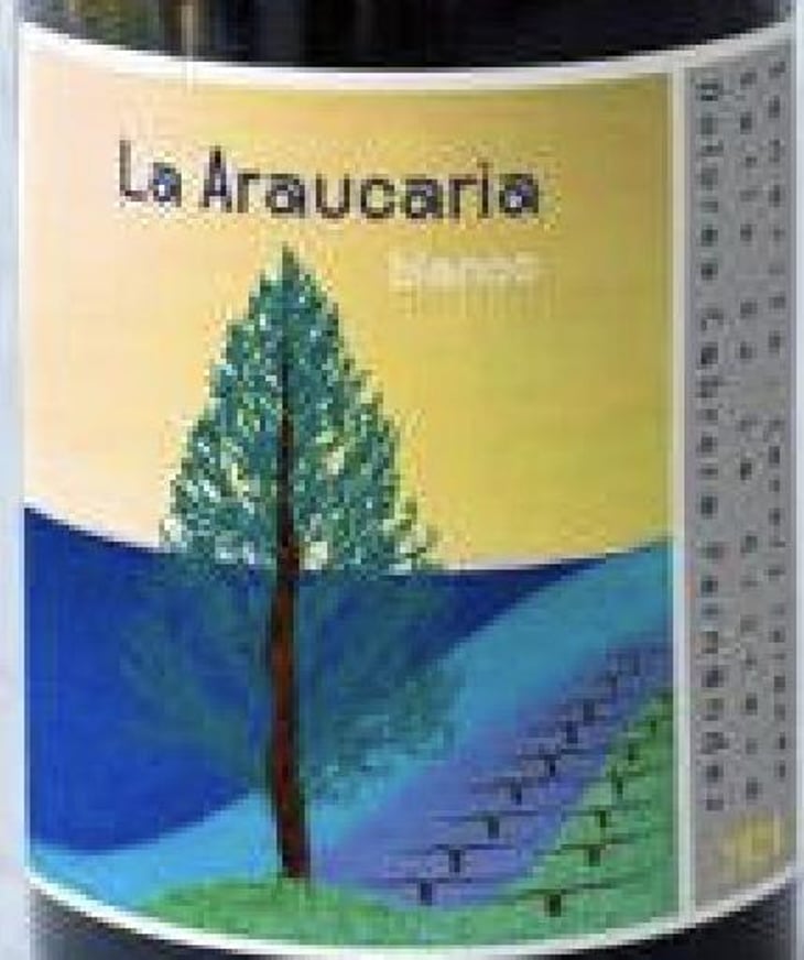 Blanco seco macerado con pieles - Bodega La Araucaria - dolores-cabrera-fernandez 