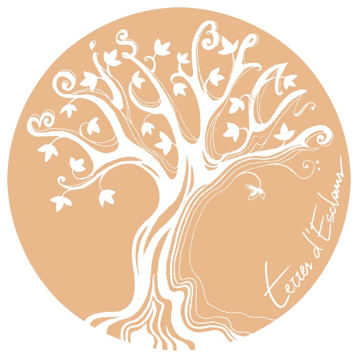 Bois Blanc - Domaine Terres D'Esclans - agathe-fabrice-raymond -2024