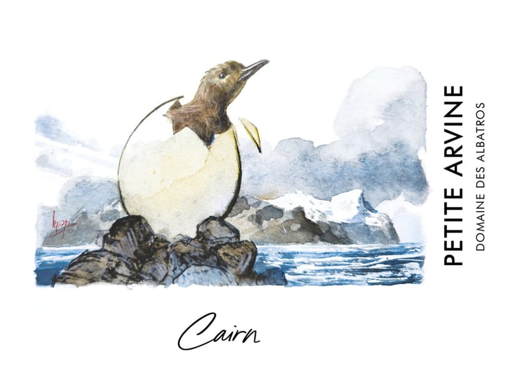 Cairn - Domaine des Albatros - julien-cartier -2024