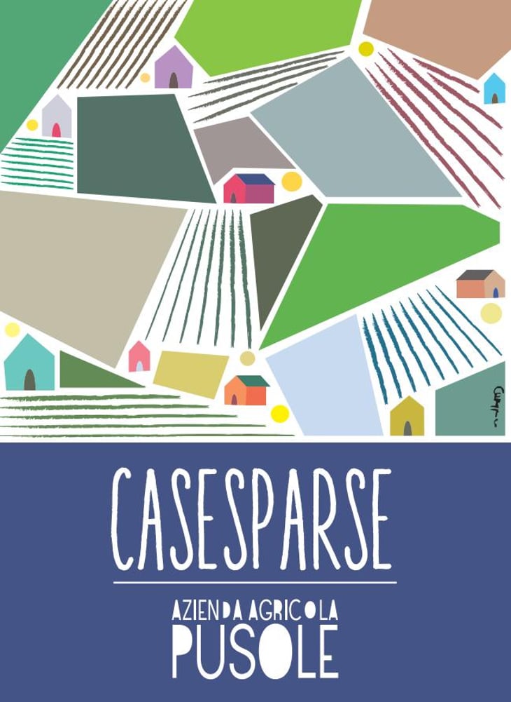 CaseSparse - PUSOLE - roberto-e-lorenzo-pusole -2024