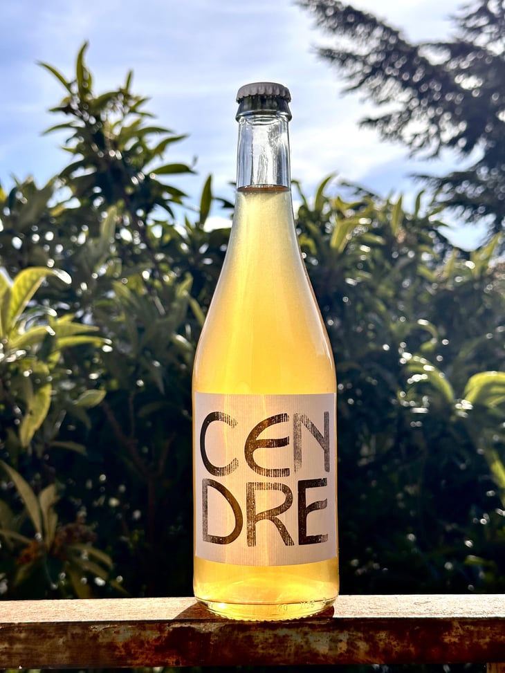 Cendre - Giardini ColeRinger - ginger-ringer-romain-cole 