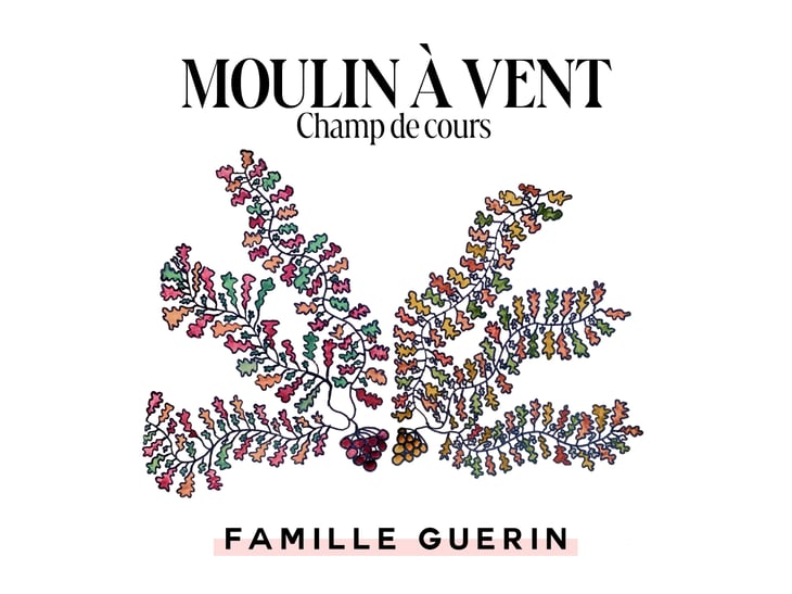 Champ de Cour - Famille Guerin - Elisa Guerin Vins - famille-guerin -2023