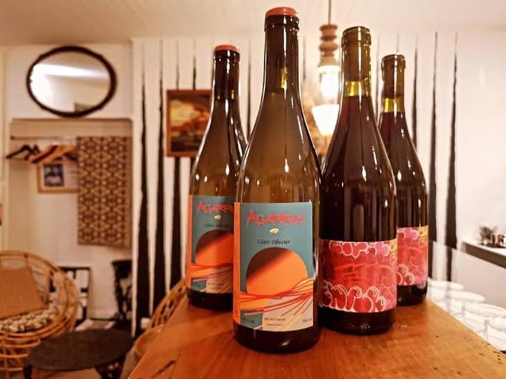 CLAIR OBSCUR - Agarrus - serge-scherrer 