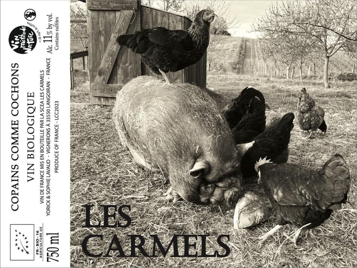 Copains comme cochons - Domaine Les Carmels - yorick-sophie-lavaud -2023