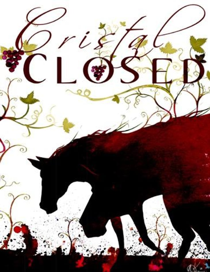 Cristal Closed Cabernet Franc - Côme Isambert - come-isambert 