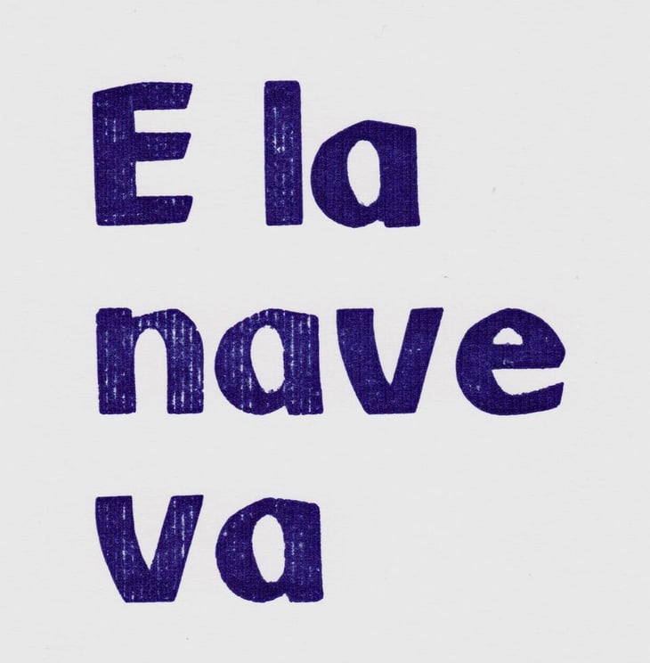 E la Nave Va - Giardini ColeRinger - ginger-ringer-romain-cole 
