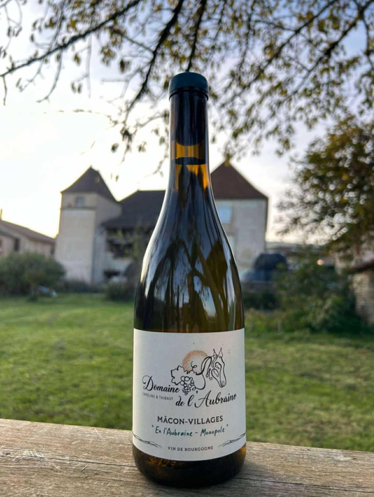 En l'Aubraine - Monopole - Domaine de l'Aubraine - caroline-thibaut-pariset -2023
