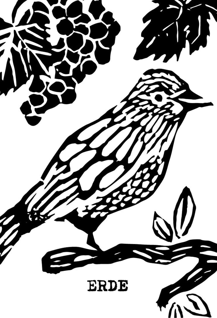 Erde - Domaine Pascal Treichler - pascal-treichler -2024