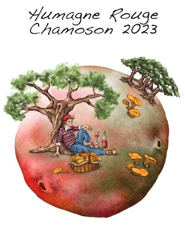 Humagne Rouge Chamoson - Domaine des Petites Planètes - guillaume-bodin -2023