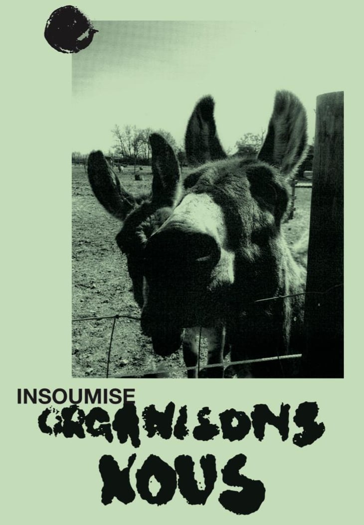 Insoumise - Organisons Nous - iris-frauchiger-vangelis-papaefthymiou 