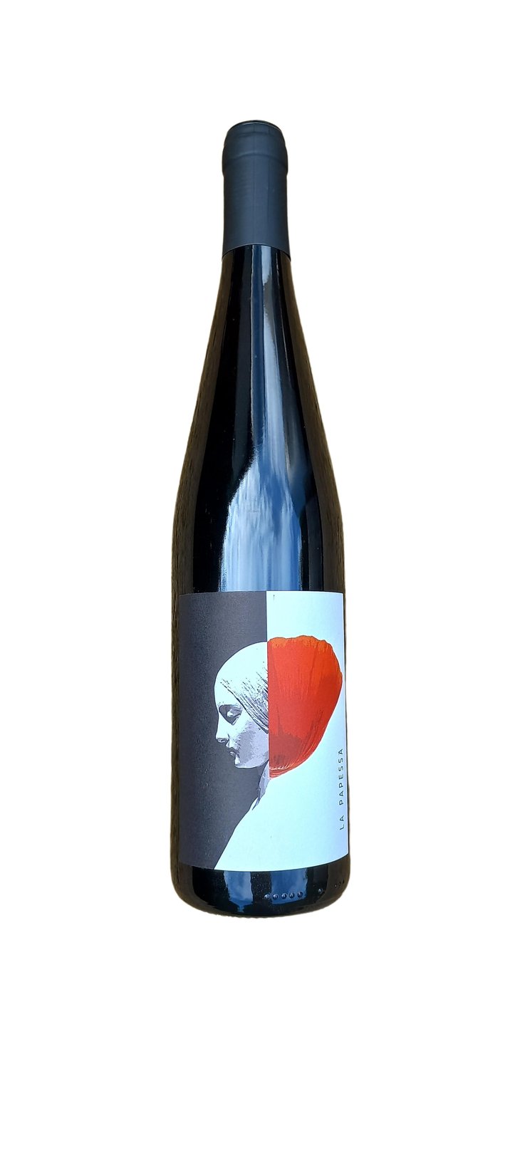 LA PAPESSA - Clio Cicogni - clio-cicogni -2025