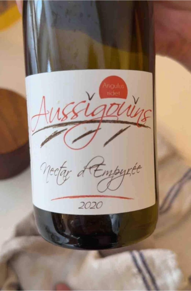 Les Aussigouins - Dominique Dufour - dominique-dufour -2020