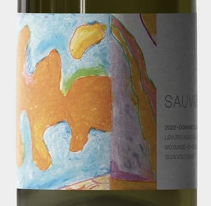 Les Devers - Domaine du Chambet - anthony-fonjallaz 