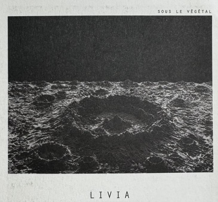 Livia - Sous Le Vegetal - patrick-bouju-jason-ligas 