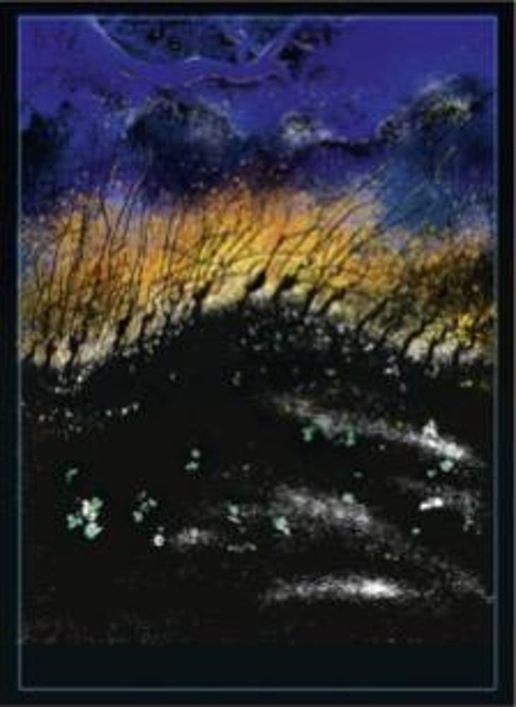 L'Orée 2023 - Baptiste Nayrand - baptiste-nayrand 