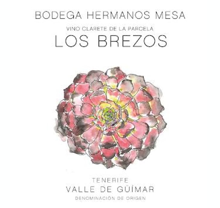 Los Brezos - Bodega Hermanos Mesa - fernando-mesa 