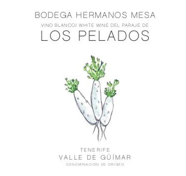 Los Pelados - Bodega Hermanos Mesa - fernando-mesa -2022