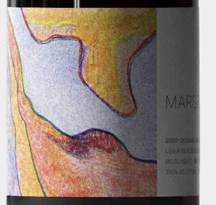 Marselan - Domaine du Chambet - anthony-fonjallaz 