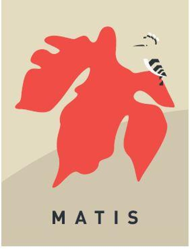 Matis - Domaine De L’Accent - konrad-pixner -2024