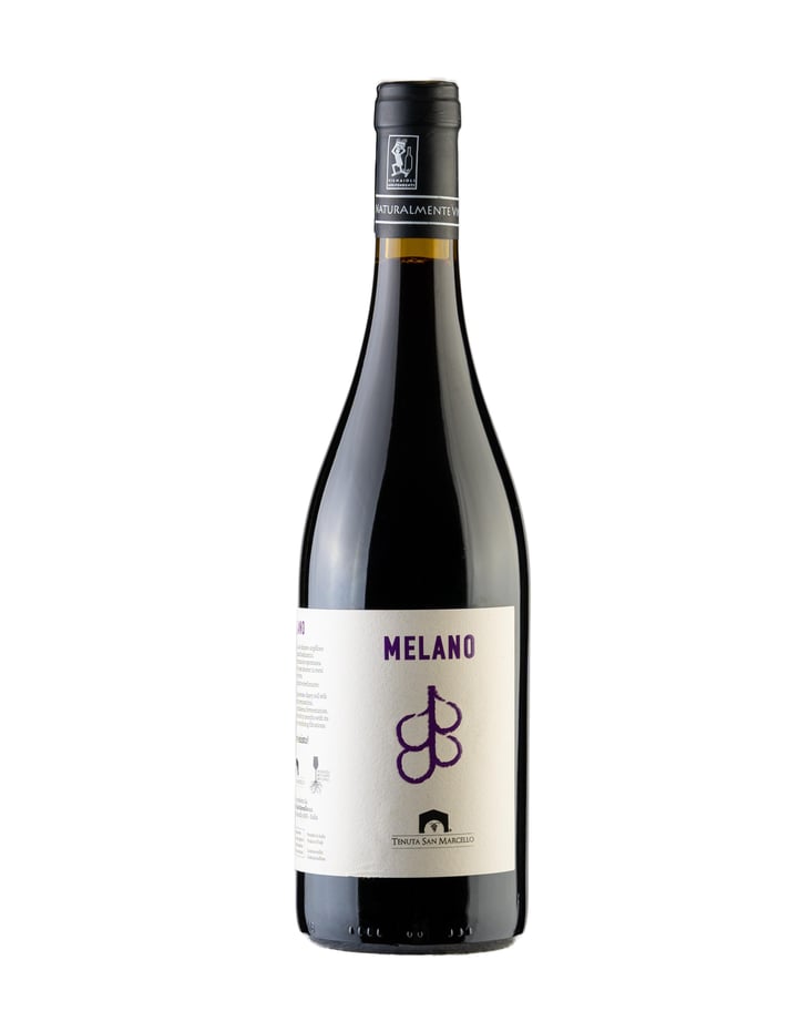 Melano - Tenuta San Marcello - massimo-palmieri-pascale-marquet 