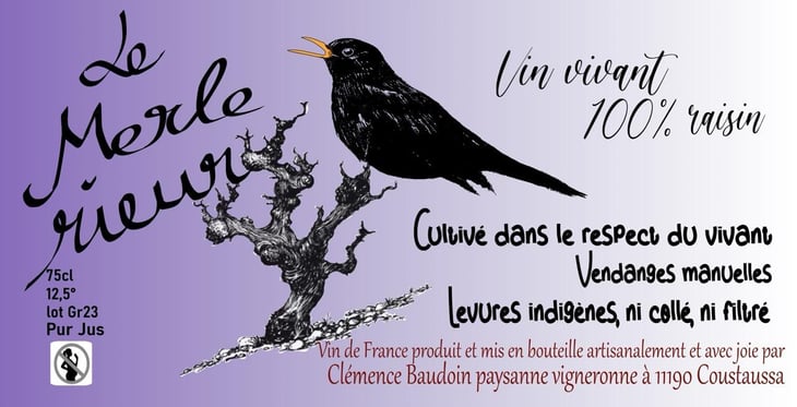 Le Merle Rieur - Les Fleurs Jaunes - marc-sanchez-toha-clemence-baudoin-qz 