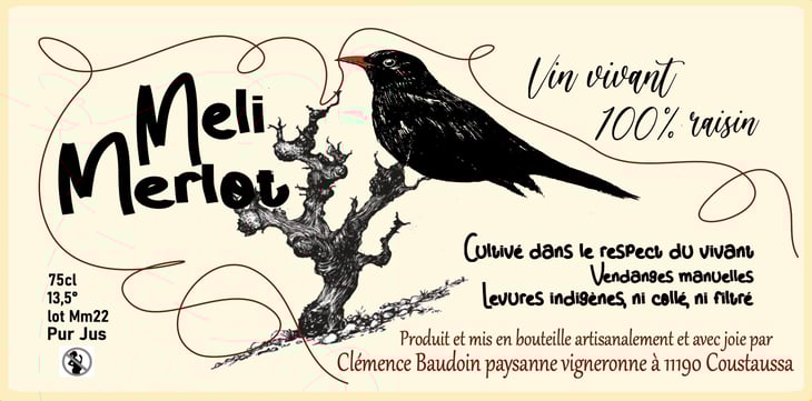 Merlimerlot - Les Fleurs Jaunes - marc-sanchez-toha-clemence-baudoin-qz 