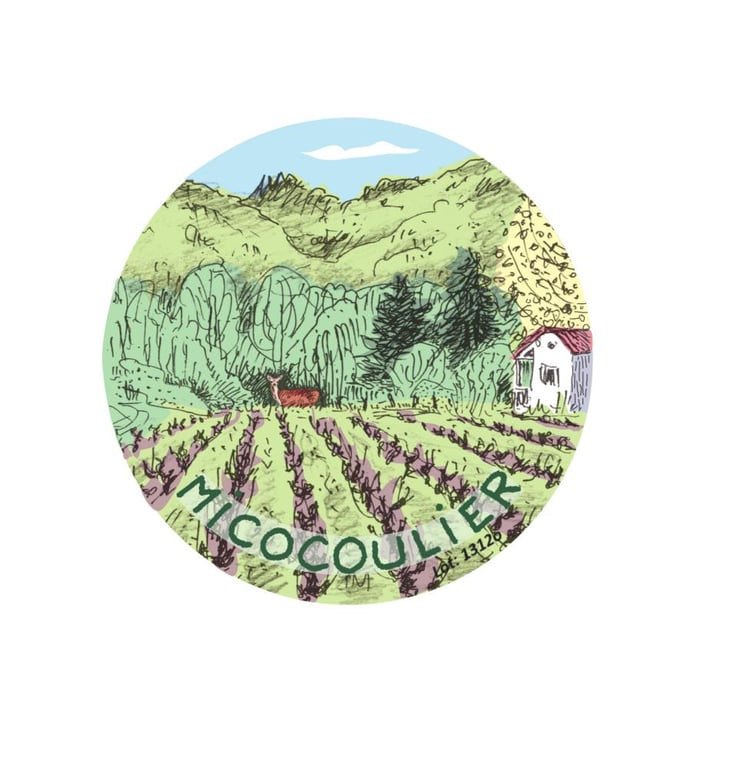 Micocoulier - Domaine de La Marotte - julie-thelen-xavier-auboux -2023