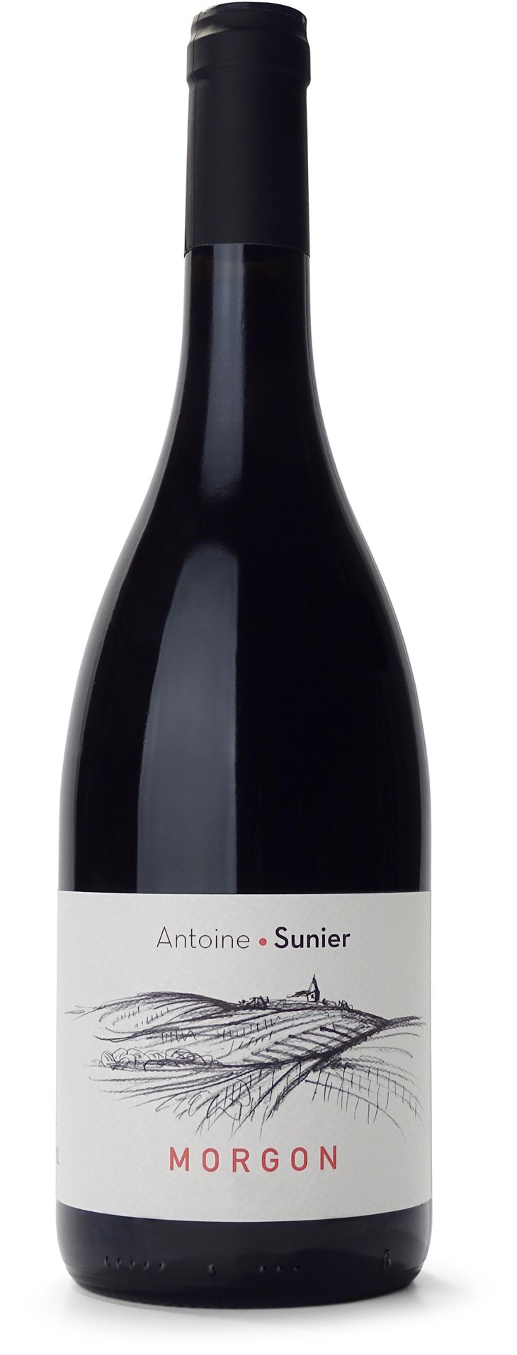 Morgon - Antoine Sunier - antoine-sunier 