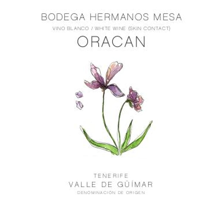 Oracan - Bodega Hermanos Mesa - fernando-mesa 