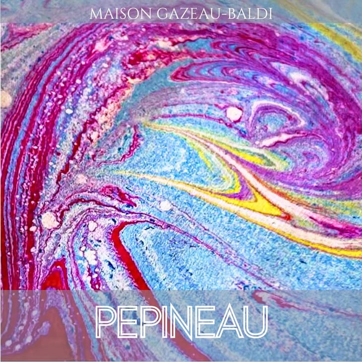 PEPINEAU - Maison Gazeau-Baldi - aurely-et-jean-damien-gazeau-baldi -2023