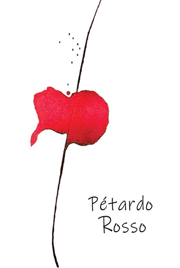 Pétardo Rosso - Le vin des Pauzes - florence-limousin-damien-aube 