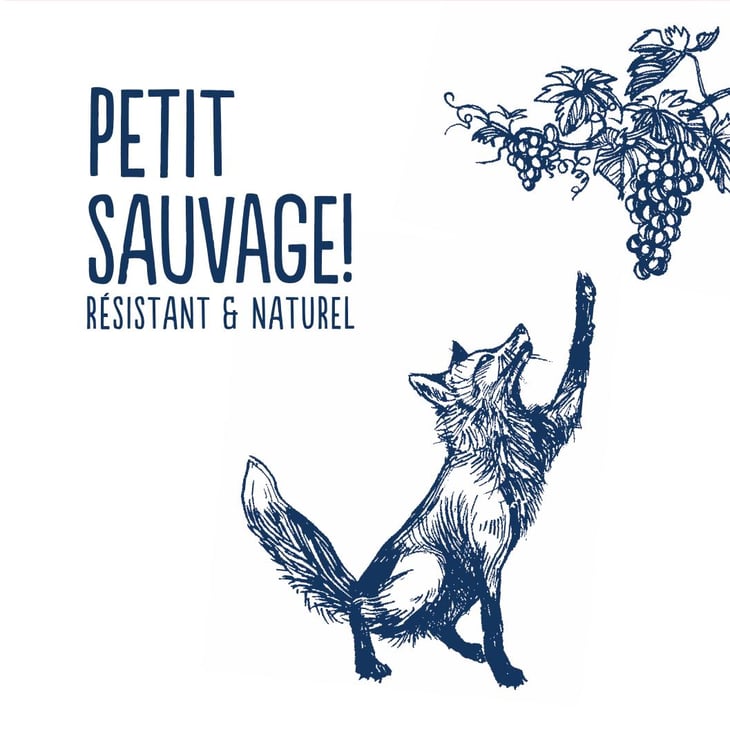 Petit Sauvage! Blanc - Pierre & Antonin - pierre-caizergues-antonin-bonnet 