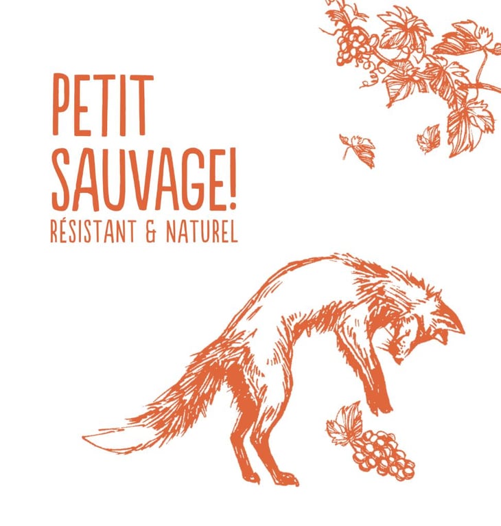 Petit Sauvage! Orange - Pierre & Antonin - pierre-caizergues-antonin-bonnet 