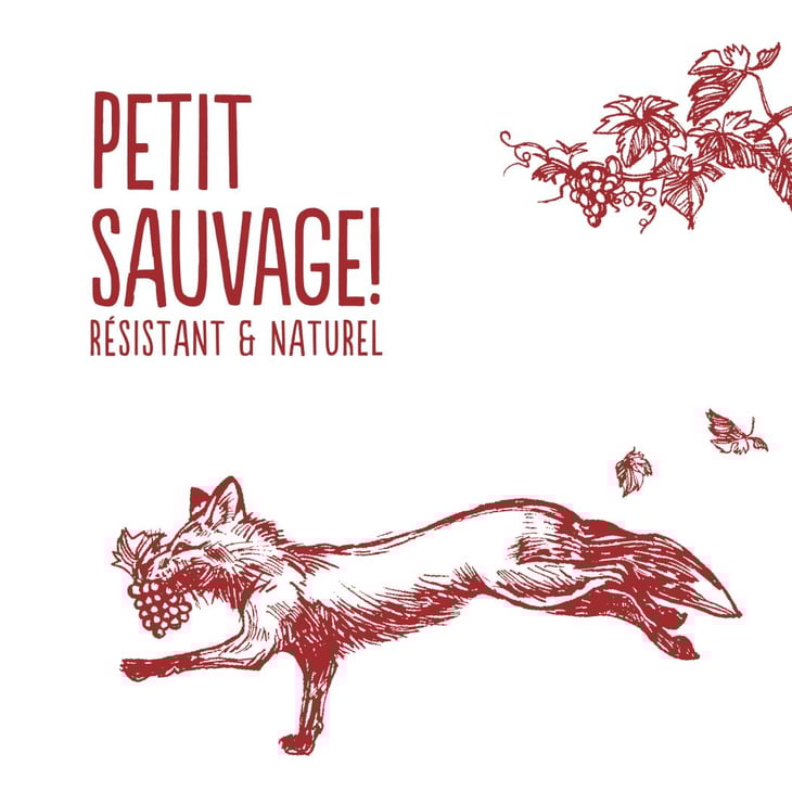 Petit Sauvage! Rouge - Pierre & Antonin - pierre-caizergues-antonin-bonnet 