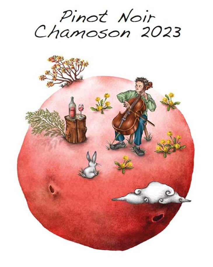 Pinot Noir Chamoson - Domaine des Petites Planètes - guillaume-bodin -2022