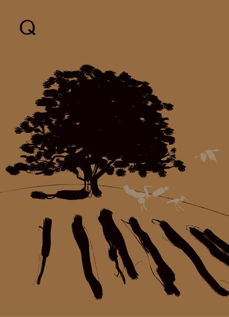 Q - L'Antica Quercia - claudio-francavilla 