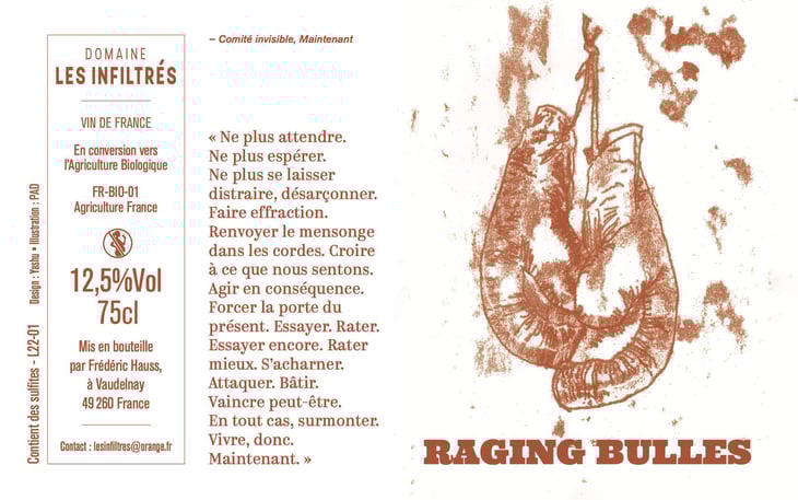 Raging bulles - Les Infiltrés - frederic-hauss 