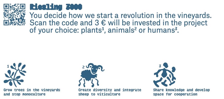 Riesling 3000 - Weingut Schätzel - kai-schatzel-jule-eichblatt 