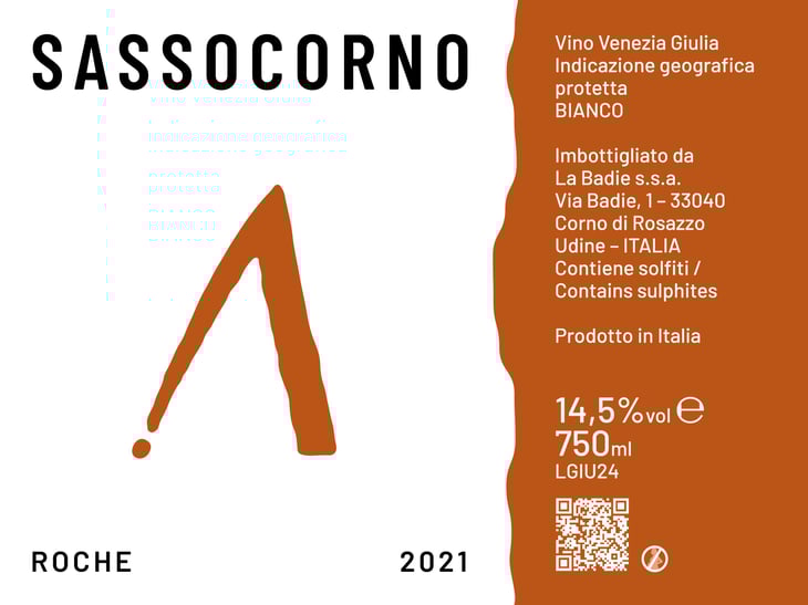 Roche - Sassocorno - francesca-ius-giuliano-poser-stefano-poser -2021