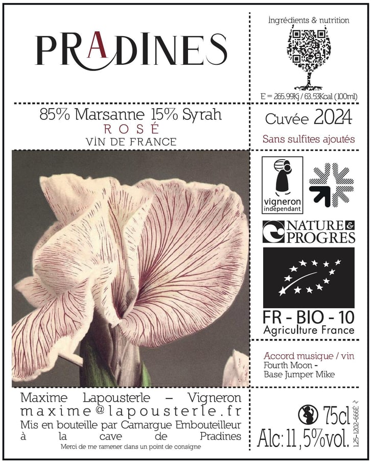 Rosé 2024 - Domaine de Pradines - maxime-lapousterle -2024