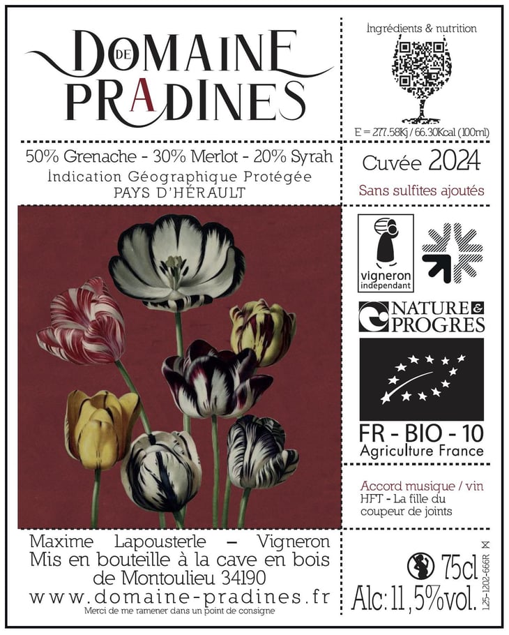 Rouge 2024 - Domaine de Pradines - maxime-lapousterle -2024