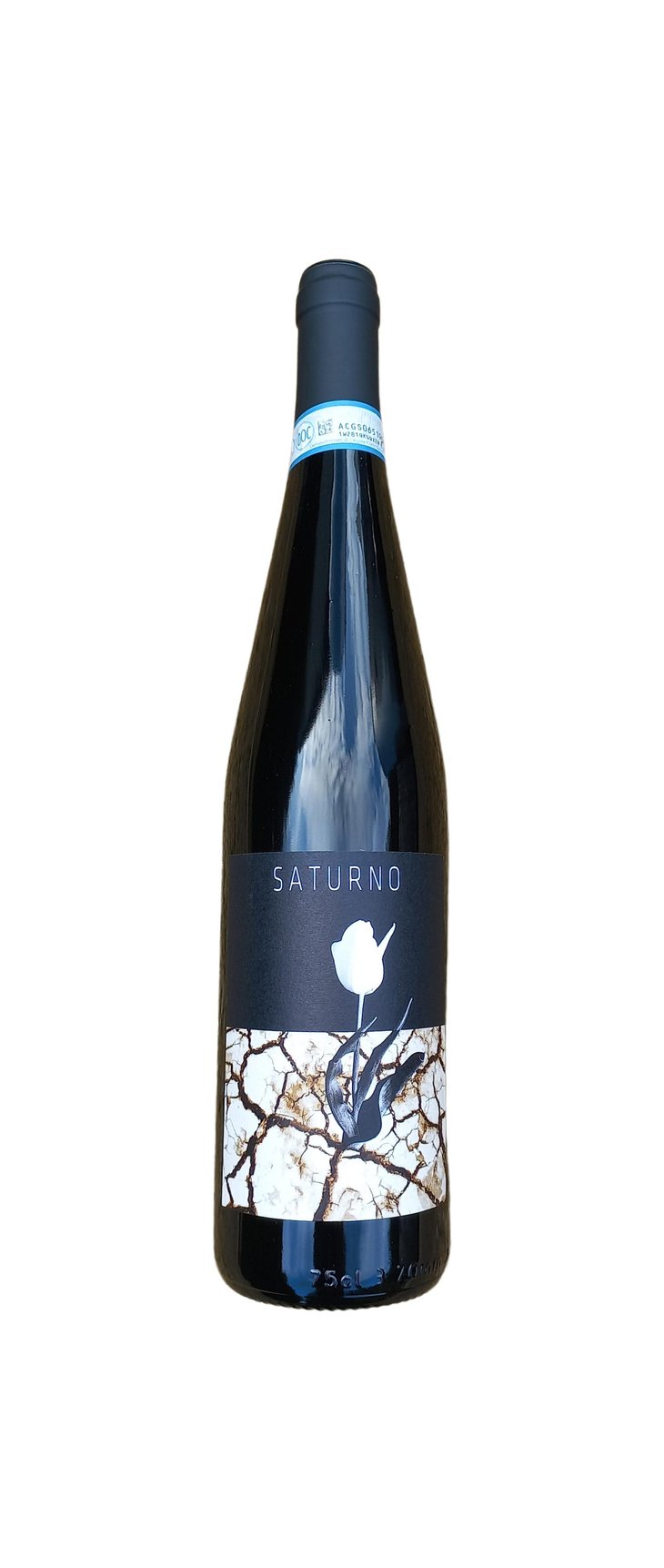 Saturno - Clio Cicogni - clio-cicogni 