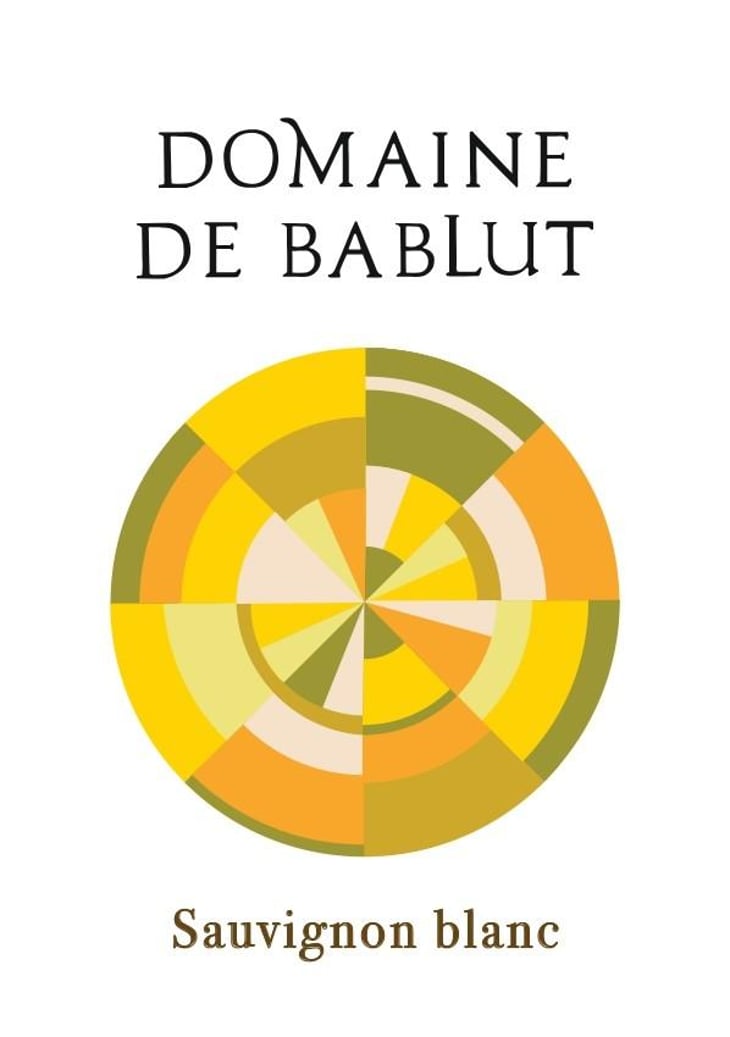 Sauvignon Blanc - Domaine de Bablut - christophe-antoine-daviau 
